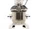 FIMAR EASYLINE B20K - Impastatrice planetaria professionale - Vasca INOX da 20 litri