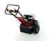 Benassi FR280 - Fresaceppi - Motore Honda GX390  - Rotore a 12 frese