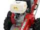 Benassi FR280 - Fresaceppi - Motore Honda GX390  - Rotore a 12 frese