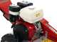 Benassi FR280 - Fresaceppi - Motore Honda GX390  - Rotore a 12 frese