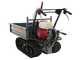 Wortex SFH 300 - Motocarriola cingolata cassone estensibile - Portata 300Kg