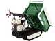GreenBay EXPANDER 500 HONDA GX200 - Motocarriola cingolata estensibile - Portata 500Kg
