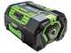 EGO Lotus - Abbacchiatore 56V - Batteria da 10Ah - Asta Telescopica - 190-280 cm