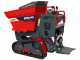 Motocarriola cingolata RAPTOR 7800 YED - Yanmar L100E