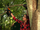 Worx WG324E - Potatore manuale a batteria 20V 2 Ah + asta di prolunga