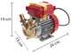 Rover 25 By-Pass - Elettropompa da travaso in bronzo - Monofase - 230V