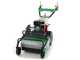 Lampacrescia MGM TTR690 - Trinciaerba a martelli  - Honda GX270