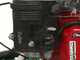 Lampacrescia MGM TTR790 - Trinciaerba a martelli - Honda GX270
