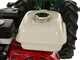 Lampacrescia MGM FC 207 E - Motofalciatrice multifunzione - Honda GX160