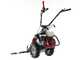 Barbieri C/60 - Motofalciatrice multifunzione - Honda GX160