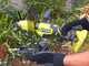 Ryobi RY18HCA-0 - Motozappa a batteria 18V - SENZA BATTERIE E CARICABATTERIE