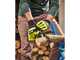 Ryobi RY18PSX10A-0 - Potatore manuale a batteria - 18V - SENZA BATTERIA E CARICABATTERIE