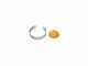 Novital Golia 4V - Elettromulino per cereali - 750W