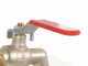 Enotecnica Pillan Carezza - Idropressa per frutta 40 L - Vasca in INOX