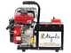 Agrieuro Premium Angelis - Generatore di corrente portatile 12/22V