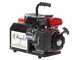 Agrieuro Premium Angelis - Generatore di corrente portatile 12/22V