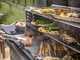 Traeger Timberline XL INT - Barbecue a pellet