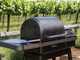 Traeger IronWood INT - Barbecue a pellet