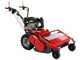 Meccanica Benassi TR 800 - Trinciaerba professionale a martelli - B&amp;S 3125E