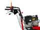 Meccanica Benassi TR 800 - Trinciaerba professionale a martelli - Cingolato - B&amp;S 3125E