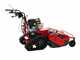 Meccanica Benassi TR 600 Hydro - Trinciaerba professionale a martelli - Cingolato - B&amp;S 3105E