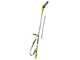Ryobi RY36PP25A-0 - Potatore a batteria su asta con prolunga - Barra da 25cm - MAX POWER 36V 2Ah