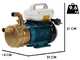 Tellarini EEM 25 MS - Pompa elettrica da travaso in ottone - Monofase - 230V