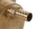 Tellarini EEM 25 MS - Pompa elettrica da travaso in ottone - Monofase - 230V
