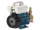 Tellarini EEM 20L - pompa da travaso in ottone - Monofase - 230V