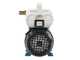 Tellarini EEM 20L - pompa da travaso in ottone - Monofase - 230V