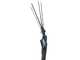 Campagnola MASTER PLUG-IN - Asta in Carbonio e alluminio - 288 - 373 cm - Abbacchiatore elettrico a batteria