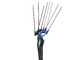 Campagnola MASTER PLUG-IN - Asta in Carbonio e alluminio - 288 - 373 cm - Abbacchiatore elettrico a batteria