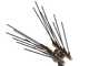 Lisam Swing 36V - Abbacchiatore Elettrico a batteria - Asta Telescopica - 220-300 cm - Batteria 36V 30Ah