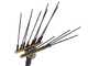 Lisam Swing 36V - Abbacchiatore Elettrico a batteria - Asta Telescopica - 220-300 cm - Batteria 36V 30Ah