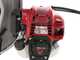Blue Bird GX50 - Decespugliatore + Scuotitore con gancio a scoppio cm 180 motore a zaino Honda - Scuotiolive
