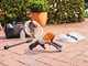 STIHL RCA 20 - Pistola idropulitrice a batteria - 10.8V - SENZA BATTERIE E CARICABATTERIA