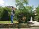 STIHL FSE 71 - Decespugliatore elettrico - 540 W
