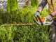 STIHL HSA 45 - Tagliasiepi a batteria integrata - 18V - Lama da 50 cm