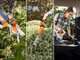 STIHL GTA 26 Set - Potatore manuale con batteria AS - 10.8V 2.6Ah