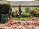 STIHL BGA 50 Set - Soffiatore con batteria AK 20 - 36V 4Ah