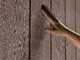 Keter Newton plus 7515/1575 - Casetta da giardino - Con porta doppia anta e finestre - 230x476x246 cm
