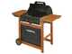 Campingaz Adelaide 3 Woody L Dual Gas - Barbecue a gas o metano