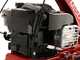 Eurosystems Minieffe M150 - Trinciaerba a scoppio - Falciatutto PRO V2 - B&amp;S 625 EXi