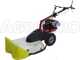 Eurosystems P70 EVO - Decespugliatore a ruote a benzina - B&amp;S 850iS