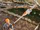 STIHL HTA 50 Set - Potatore su asta con batteria AK 30 S - 36V 5Ah
