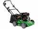 Marina Systems Picky L - Motospazzatrice a scoppio - Motore Loncin G200F