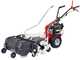 Eurosystems P55 EVO - Decespugliatore a ruote a benzina - B&amp;S 675 EXI