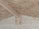 Alce Flavia 146x130 - Casetta da giardino in legno - Con finestra frontale - 146x130x194 cm