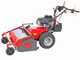 Meccanica Benassi TR 800 - Trinciaerba professionale a martelli - Motore a benzina 13 HP