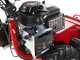 Meccanica Benassi TR 600 - Trinciaerba professionale a martelli - Motore a benzina 13 HP